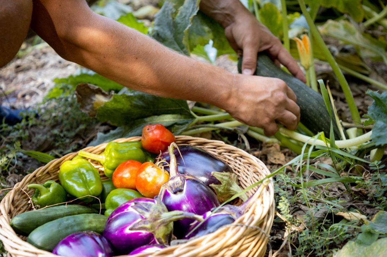 Eco Village Baia Delle Ginestre Teulada Ngoại thất bức ảnh